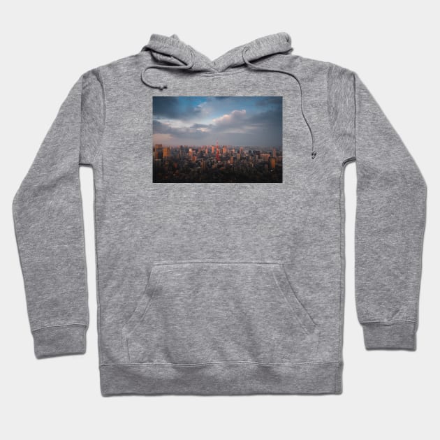 Tokyo Skyline Hoodie by withluke